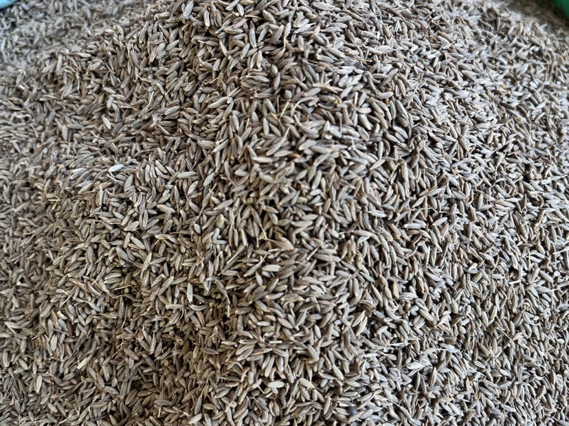 孜然烧烤调味品香料印度孜然粒孜然粉草枯子烧烤肉串