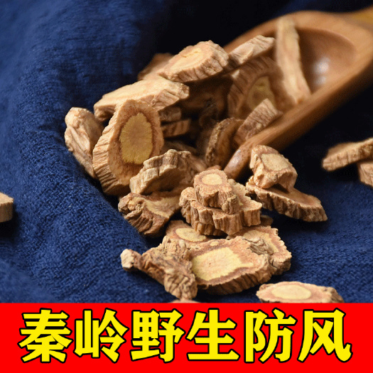 商洛秦岭防风2023新货名贵中药材北防风批发零售