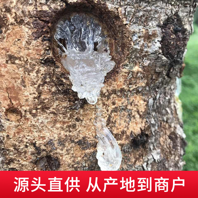 拉丝雪燕 产地一手货源雪燕规格齐全桃胶皂角米组合 新货无杂质