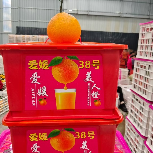 爱媛果冻橙