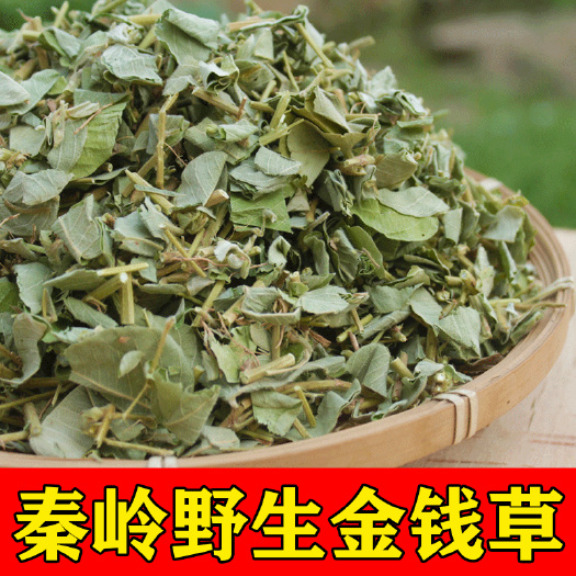 商洛秦岭金钱草2023新货名贵中药材金钱草批发零售