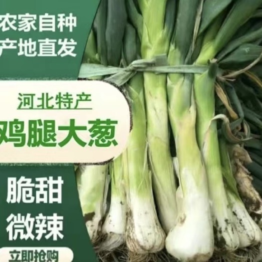 无极县河北无极县大头葱鸡腿葱大量上市，品质优良耐储存