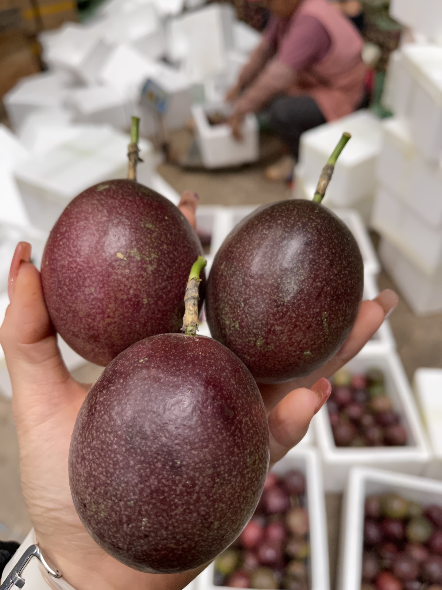 批发/一件代发云南紫皮百香果直供酸酸甜甜好吃