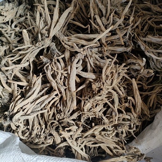 莆田新货大蓟