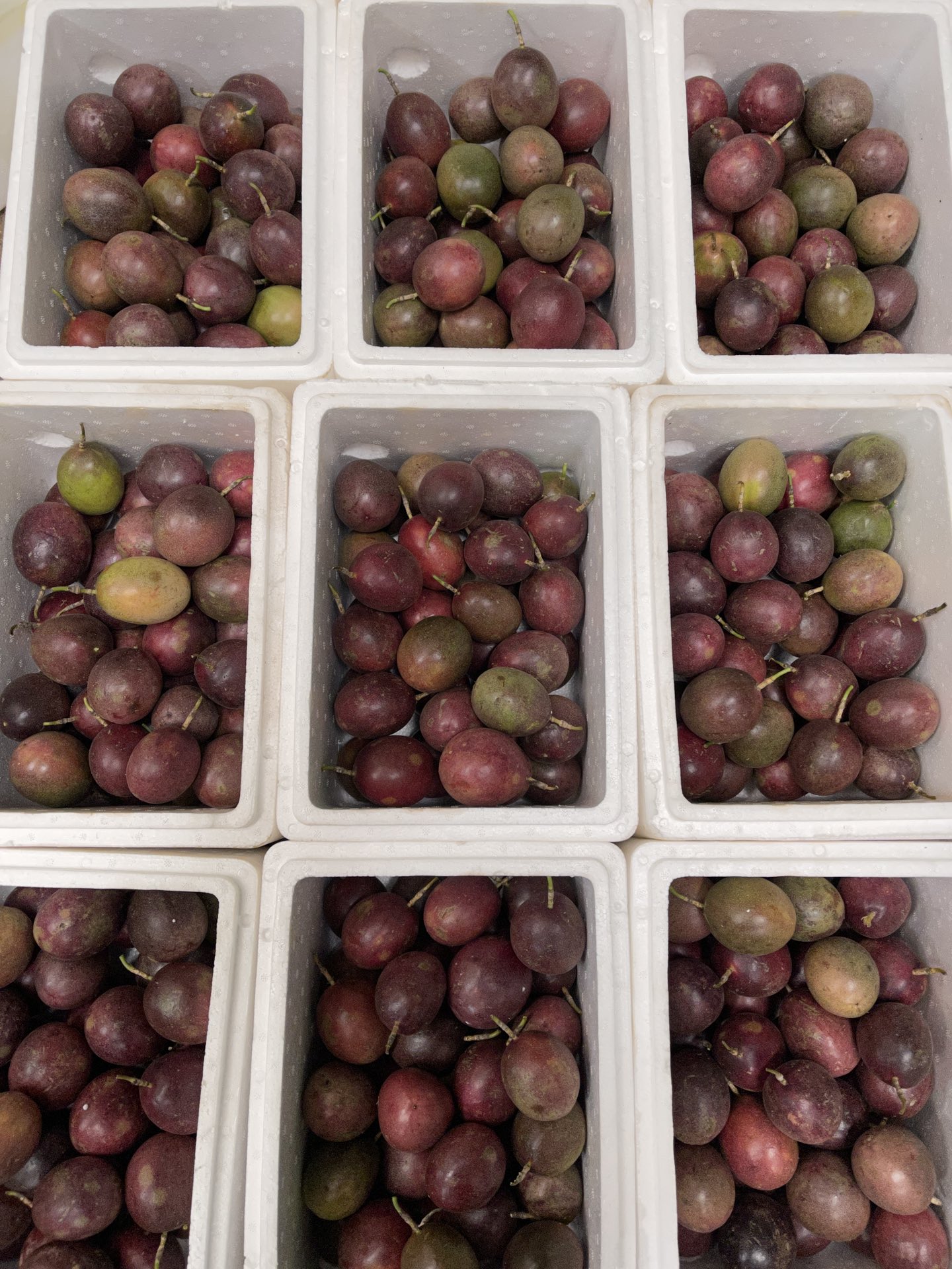 批发/一件代发云南紫皮百香果直供酸酸甜甜好吃