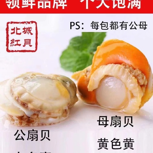 连云港虾夷扇贝 长岛北城红贝2040扇贝肉无沙无冰衣现拨去壳扇贝肉