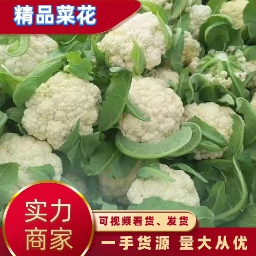 【花菜】菜花，白面青梗，商超供应，全国代发，