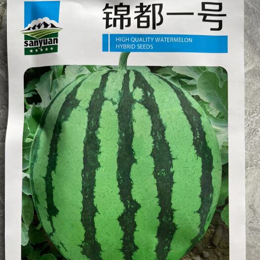 扶沟县美都西瓜种子锦都一号抗病抗裂含糖量高大红肉产量高商品性好