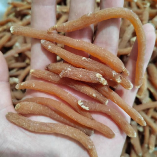 红参小抄个