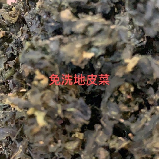 免洗地皮菜