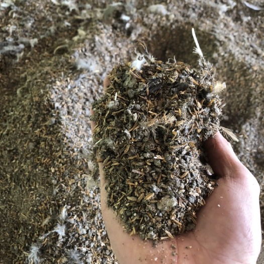 英德市供应水果蔬菜专用有机肥干爽鸡粪肥料整车发货支持定制