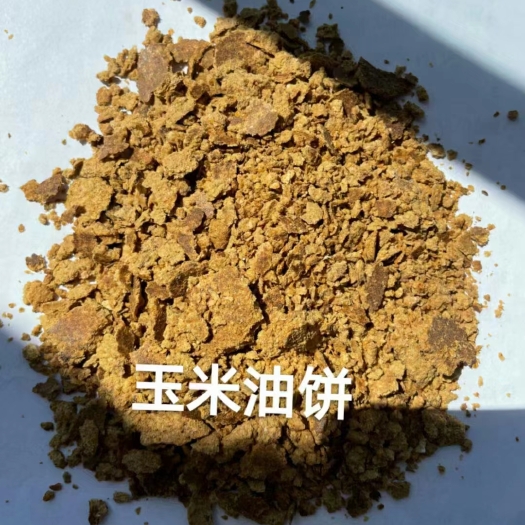 石家庄玉米油饼