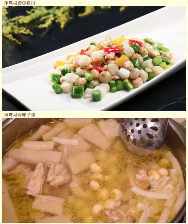 珍珠马蹄 产地直供批发新鲜珍珠马蹄 去皮珍珠马蹄食用农产品