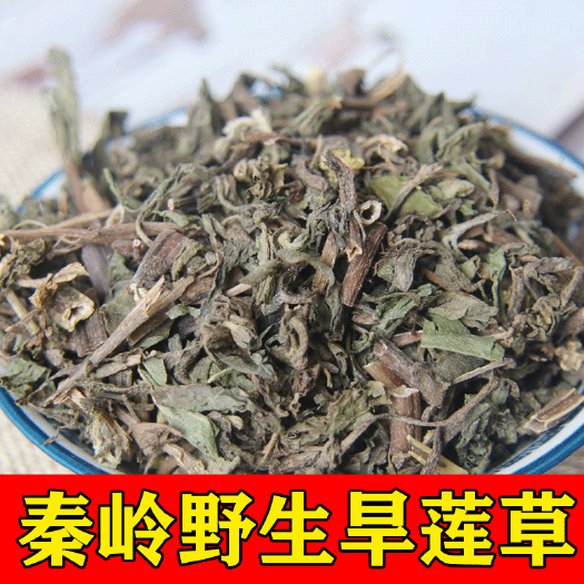 商洛秦岭旱莲草2023新货名贵中药材旱莲草批发零售