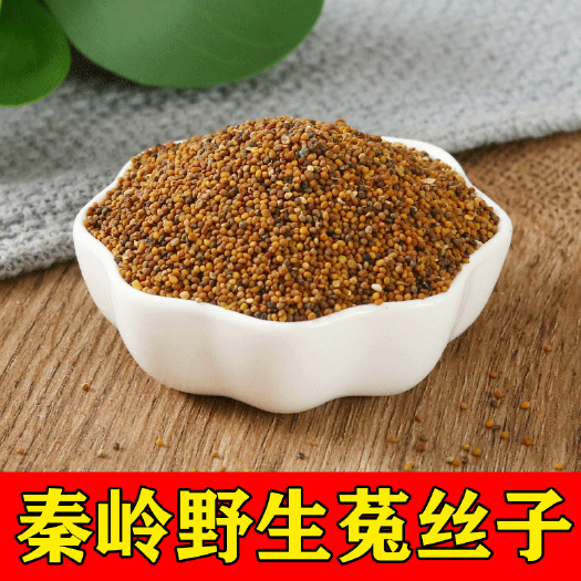 商洛秦岭菟丝子2023新货名贵中药材菟丝子批发零售