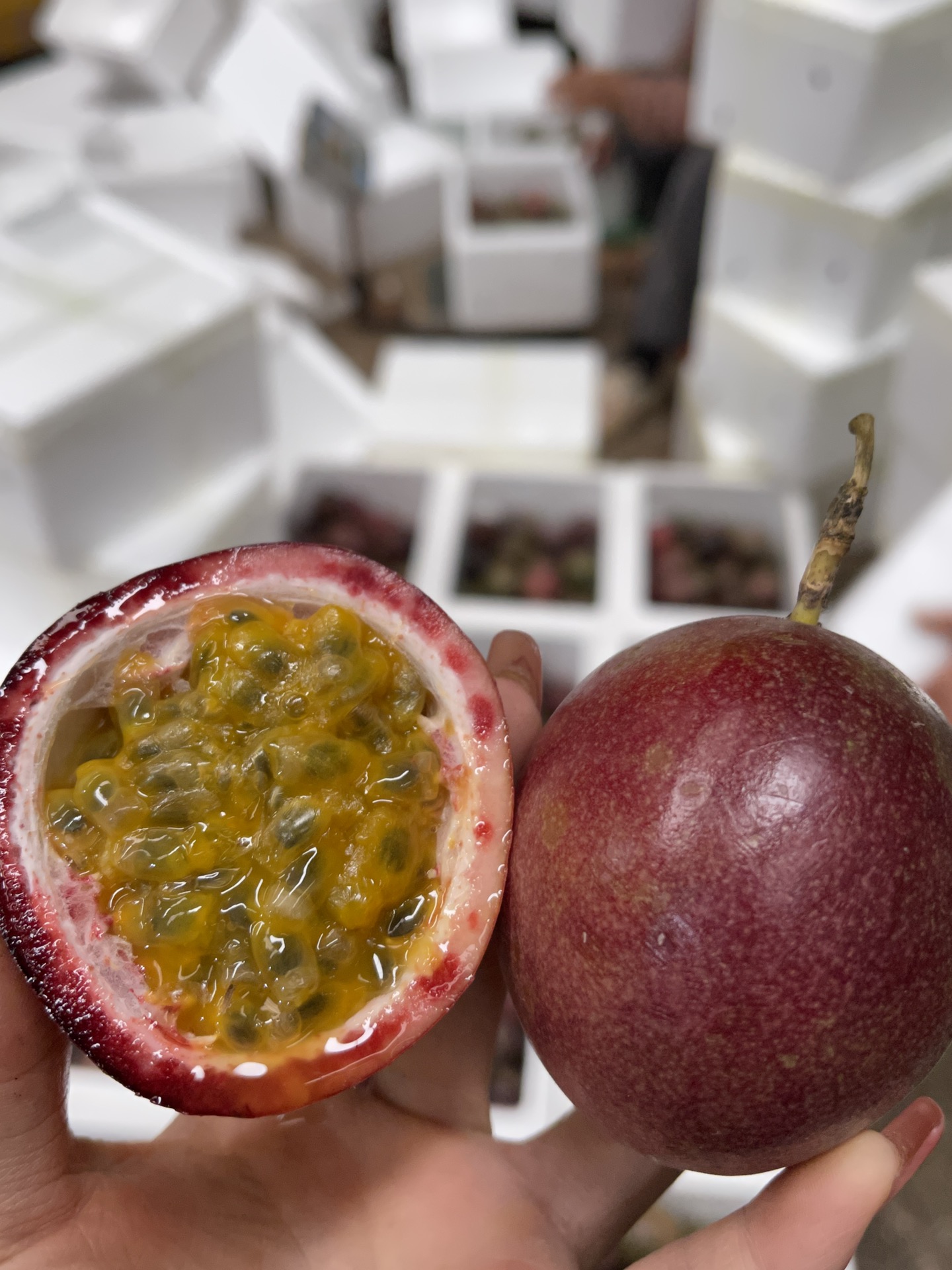 批发/一件代发云南紫皮百香果直供酸酸甜甜好吃