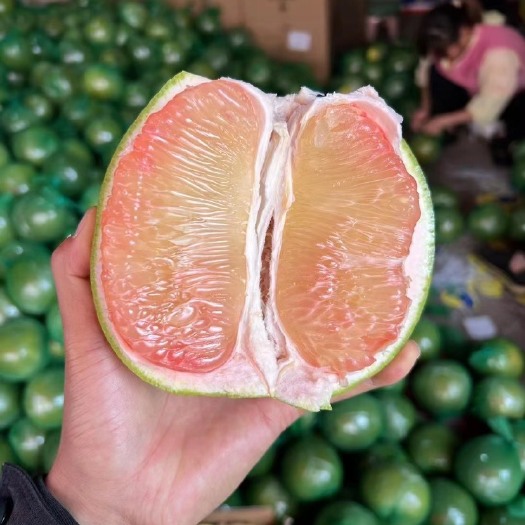 广州翡翠柚