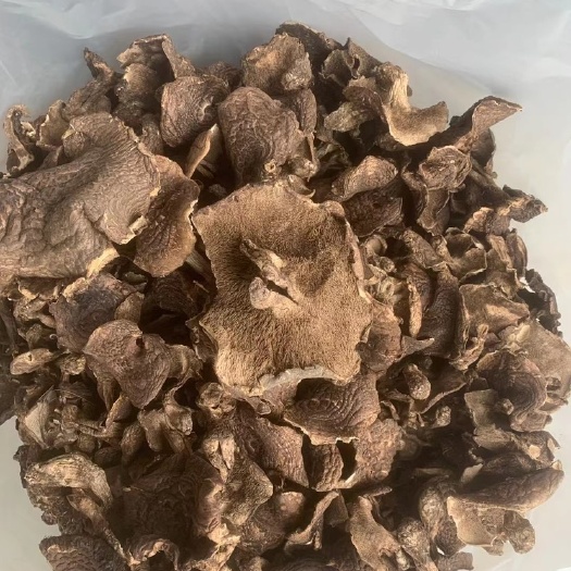 昆明虎掌菌一件代发批发