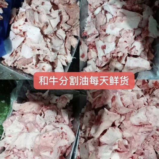 阳信县纯干牛油脂肪