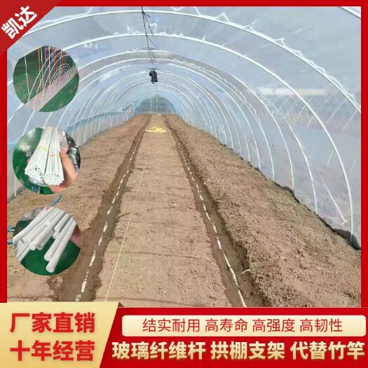 东莞市小拱棚杆 大棚杆  厂家直销玻璃纤维杆 小拱棚支架 代替竹竿