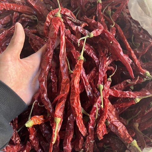 襄汾县干辣椒，二荆条干辣椒，烘干货