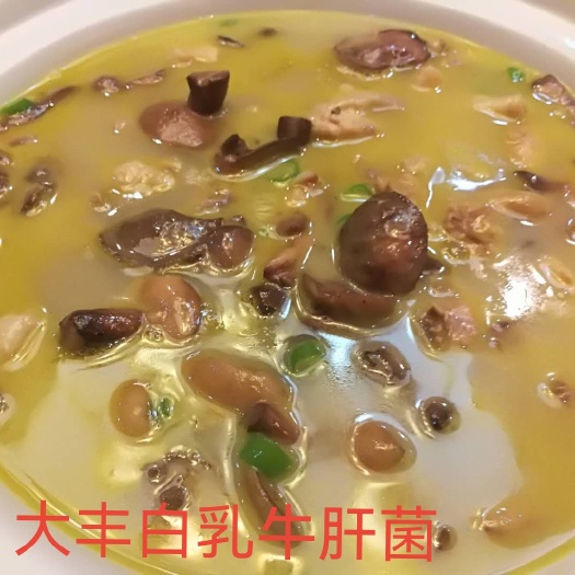 常德菌类，食用菌野生菌