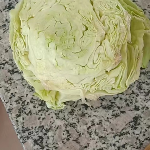 朔州出售甘蓝