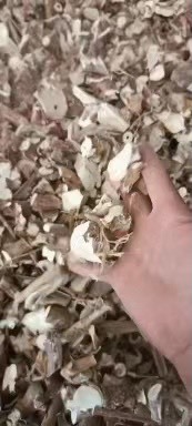 永福县五指毛桃，无硫，味道浓郁，煲汤佳品