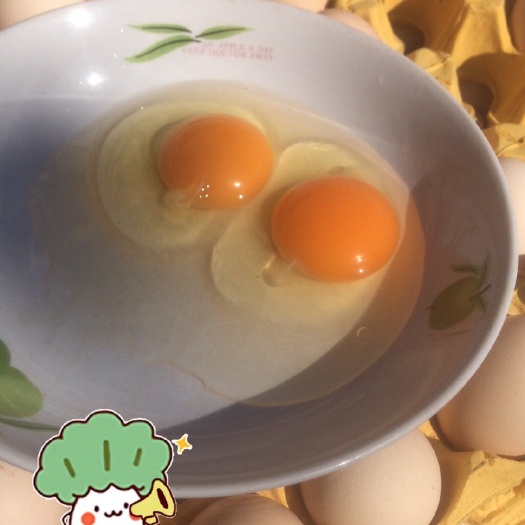 沧县粉壳红心土鸡蛋360枚/箱 箱装 筐装