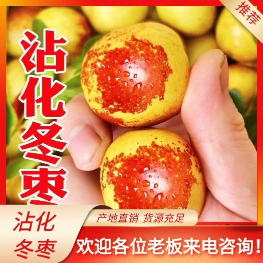 滨州沾化冬枣鲜枣电商平台对接一件代发产地直销供应仓