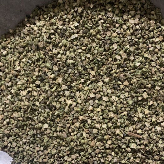 白蒺藜硬蒺藜 蒺藜刺