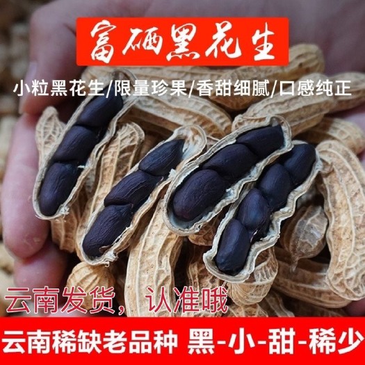 文山市〖云南发货〗富硒黑花生带壳生种粒子甜黑皮花生去壳黑花生米