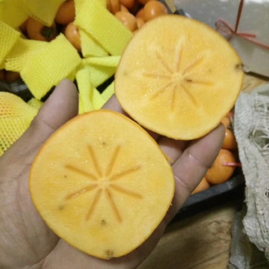 海阳市脆甜柿子，水果柿子