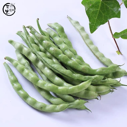 威宁县自己家种28亩多的扁豆