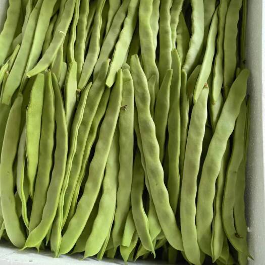 漳州芸豆，扁豆