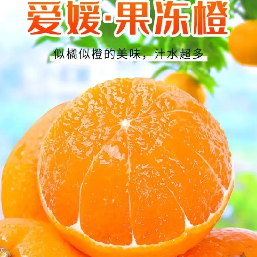 金堂县精品爱媛38号果冻橙新鲜水果整箱当季橘子5斤9斤四川特产甜橙