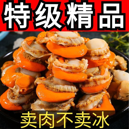 连云港扇贝肉