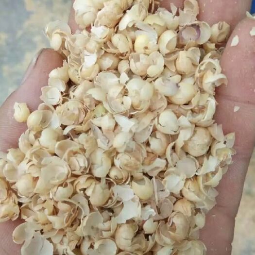 临西县大豆皮黄豆皮常年供应