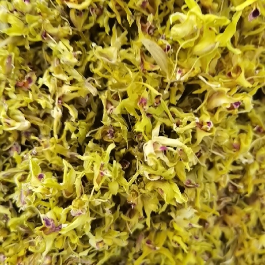 铁皮花