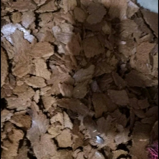 长顺县菜籽饼