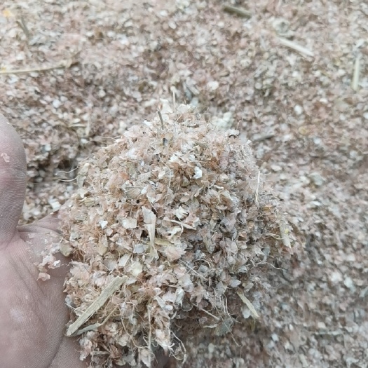 固镇县玉米晒下毛毛，玉米芯