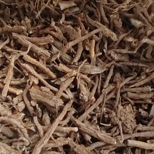 长沙地骨皮