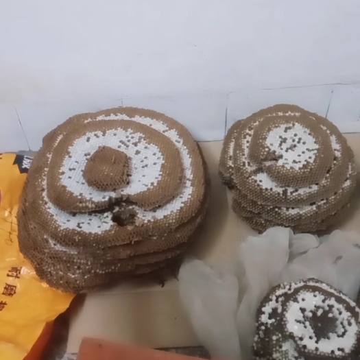 容县蚂蜂