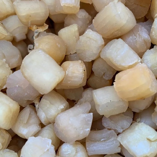 饶平县特级大干贝