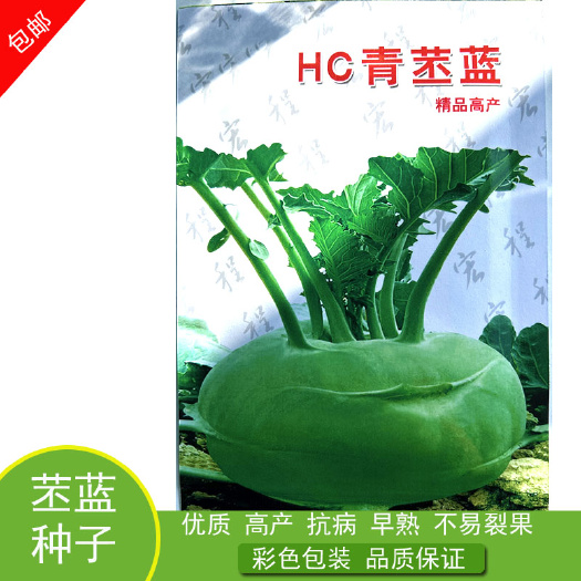 苤蓝种子  天津特菜青苤兰种子 水果绿苤 四季春季秋冬季蔬菜