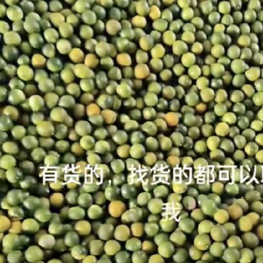 融安县融安金桔