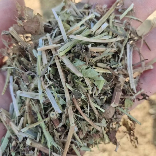 社旗县全绿色新花生秧，无土无膜无霉变，质量三包！实地考察补贴油费