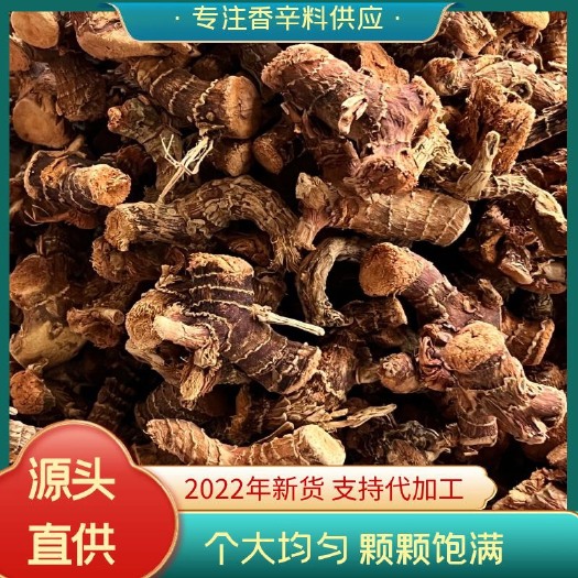 陆川县高良姜良姜个蛮姜佛手根大料香料