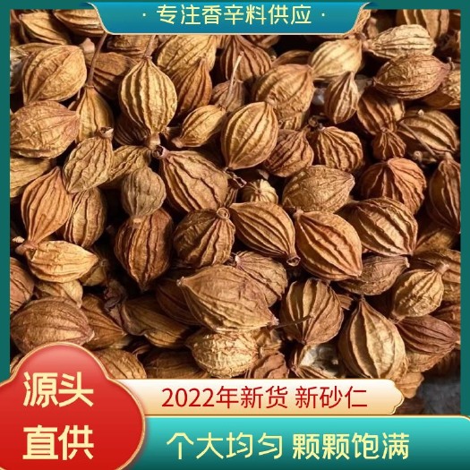 陸川縣川砂仁香砂艷山姜砂仁香料量大從優(yōu)