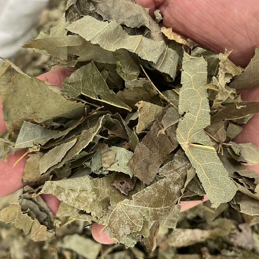 亳州全检合格淫羊藿，支持全国发货